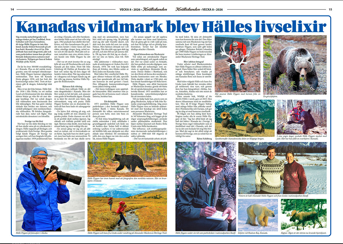 Halle Flygare Article